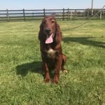 Newpark News - @ann.bourke - Instagram