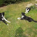Ann Bourne - Facebook