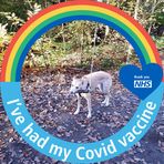 Ann Bourne - Facebook