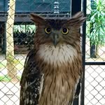 Annbow Ng - @annbowng - Instagram