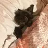 Anna - @annabowdish - TikTok