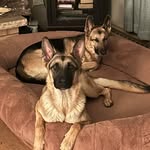 Ann Bowens - @annbowens50 - Instagram