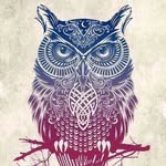Ann's  channel - @ann_bower - Instagram