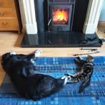 Ann Bowes - @annbowes57 - Instagram