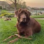 Ann Bowles Jensen - @bowlesjensen - Instagram
