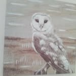 Patricia Ann Bowles - @patriciaannbowles - Instagram