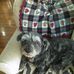 Ann Bowlin - Facebook