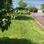 Ann Bowlin-Hill - @bowlinhill - Instagram