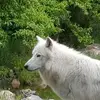 Ann Bowling Chastain - @ann.bowling.chast - TikTok