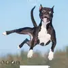 anne.bowling2 - @anne.bowling2 - TikTok