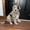 Annabowman054 - @annabowman054 - TikTok