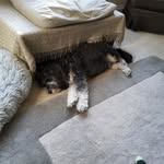 Ann Bowser - @annbowser57 - Instagram