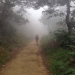Shari Ann Boyce - @sharicampbellcamino - Instagram