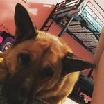 Tosha Ann Boyette - @rrroyalty.makers - Instagram