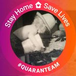 Betty Ann Boykin - @goofybee - Instagram