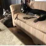 Kathleen Ann Boylan - @boylank420 - Instagram