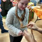 tracy ann boylan - @tracyannboylan - Instagram