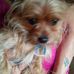 Ann Boyles - Facebook