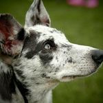 Ann Boyles - @sapp.hire2010 - Instagram