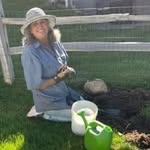 Ann Shouse-Bozeman - @shousebozeman - Instagram