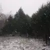 annebozeman - @annebozeman - TikTok