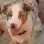 Bobbie Ann Bozeman - @bobbie.a.bozeman - Instagram