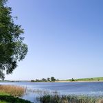 Bracewell - @bracewellannec - Instagram