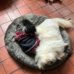 Ann Bradshaw - @bradshaw4138 - Instagram