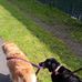 Ann Bradshaw - Facebook