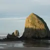 annbrevard - @annbrevard - TikTok