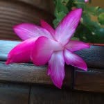 Ann Bricker - @annbricker - Instagram