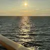 Anna brick - @anna.brick02 - TikTok