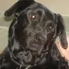 annbridges1 - @ann676818 - TikTok