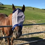 AnnBridges - @annbridges707 - Instagram