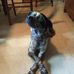 Ann Briggs - Facebook