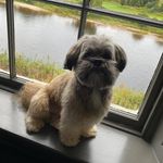 Lesley Ann Brindley - @lesleyannbrindley - Instagram
