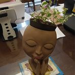 Ann Brooks - Facebook