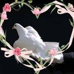 Ann Brooks - @ann.brooks.169 - Instagram