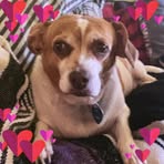 Ann Byrd-Broome - Facebook