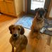 Ann Brunner - Facebook