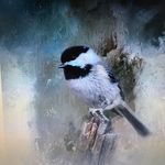 Ann Finni Brunner - @ann_brunner - Instagram
