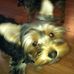 Ann Bucher - Facebook