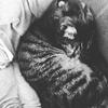 anna bucher - @anna.bucher - TikTok