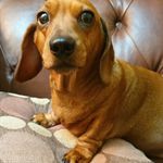 Ann Burrell - @annburrell55 - Instagram