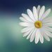 Ann Bush - Facebook
