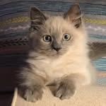 Ann Bush - @drannbush - Instagram