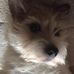 Ann Bye - Facebook