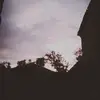 A. - @ann.camp1 - TikTok
