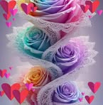 Ann Camp - Facebook
