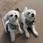 Ann Campbell - @ann_campbell7 - Instagram